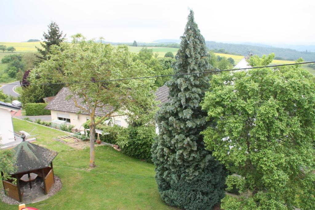 Ferienwohnung Haus Buchholz Liesenich Zimmer foto